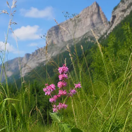 Vercors Et Vous アパート