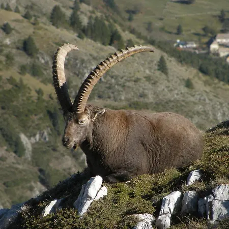 Vercors Et Vous *